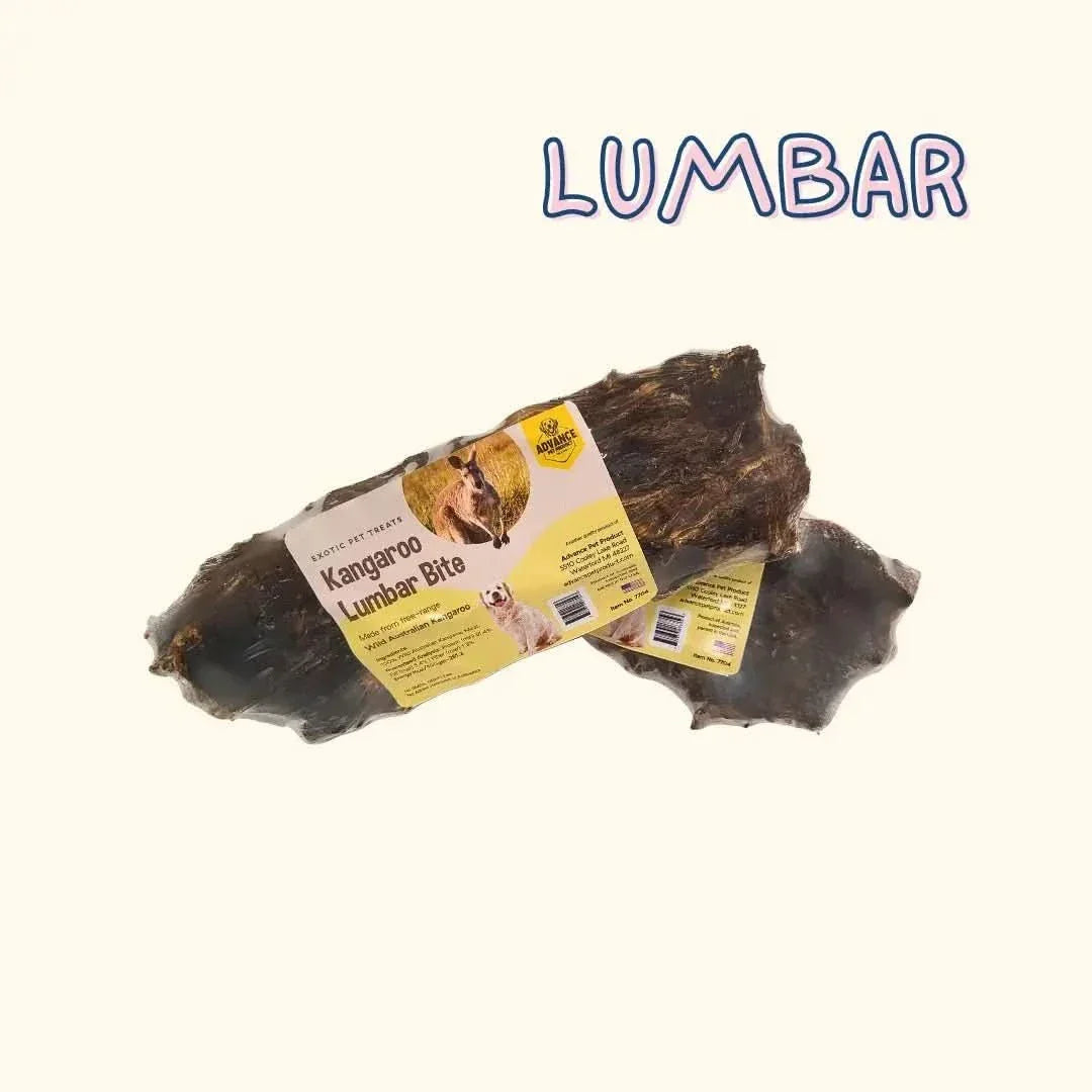 Grain Free Kangaroo Femur and Lumbar Chews for Allergy - Sensitive Pets - Talis Us