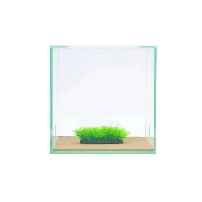 Grass stone – 3cm - Talis Us