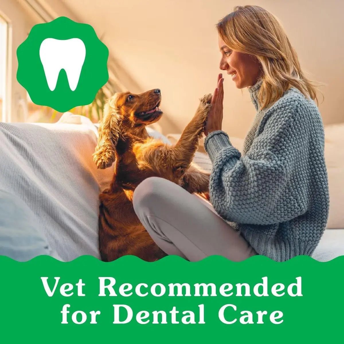 Greenies Puppy 6+ Months Dog Dental Treats - Talis Us