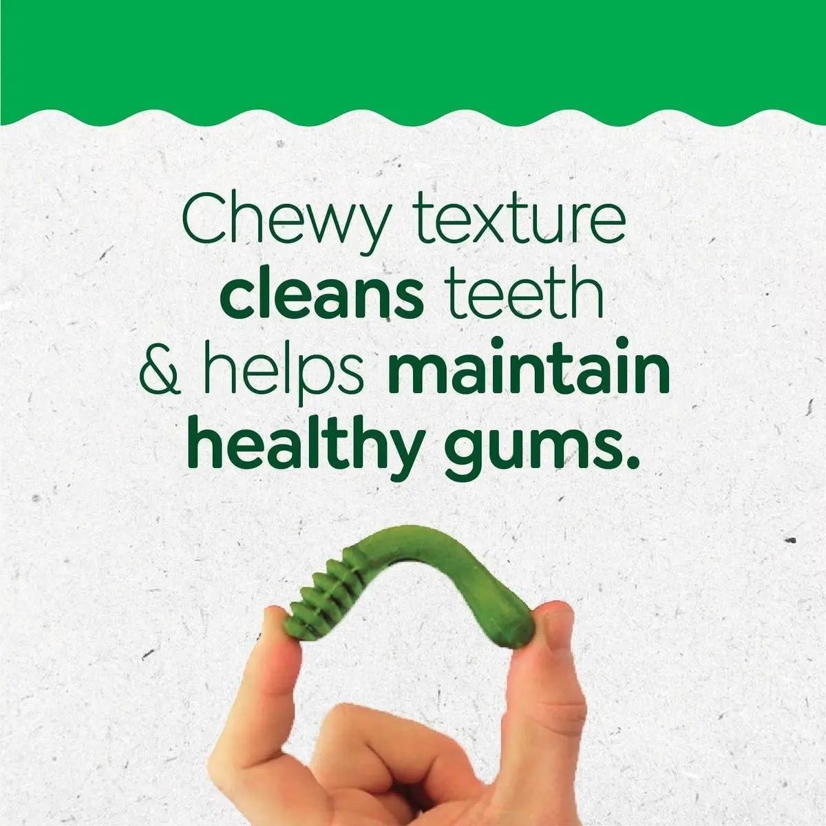 Greenies Puppy 6+ Months Dog Dental Treats - Talis Us