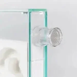 Grid cap – 10mm – Stainless steel - Talis Us