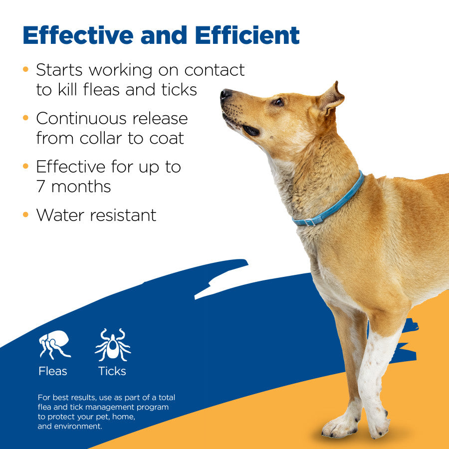 Zodiac Flea and Tick Collar for Dogs