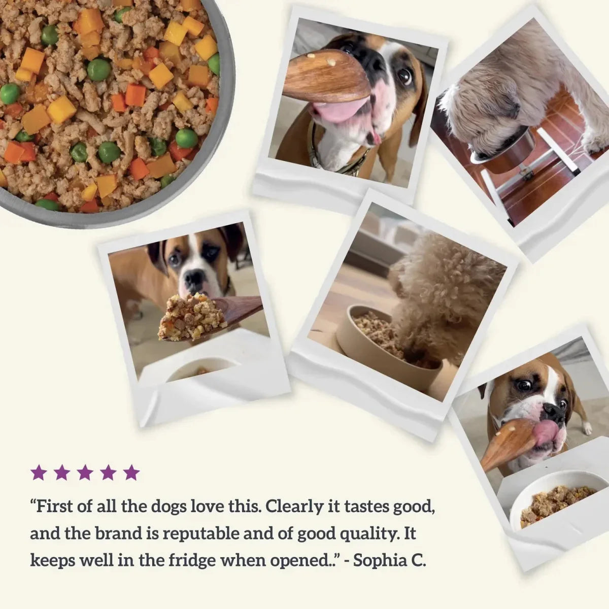 Health Extension Gently Cooked Grain Free Salmon Recipe Pouches For Dogs - Talis Us