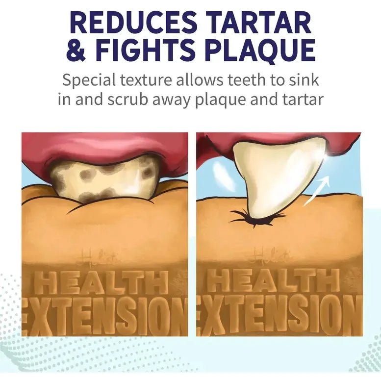Health Extension Peanut Butter Flavor Dental Bones - Talis Us