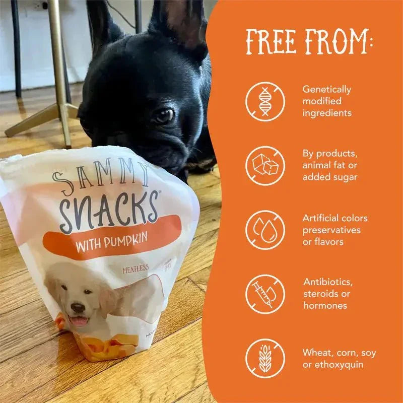 Health Extension Sammy Snacks Pumpkin Flavored Natural Dog Treats 8 oz - Talis Us
