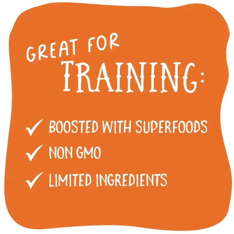 Health Extension Sammy Snacks Pumpkin Flavored Natural Dog Treats 8 oz - Talis Us