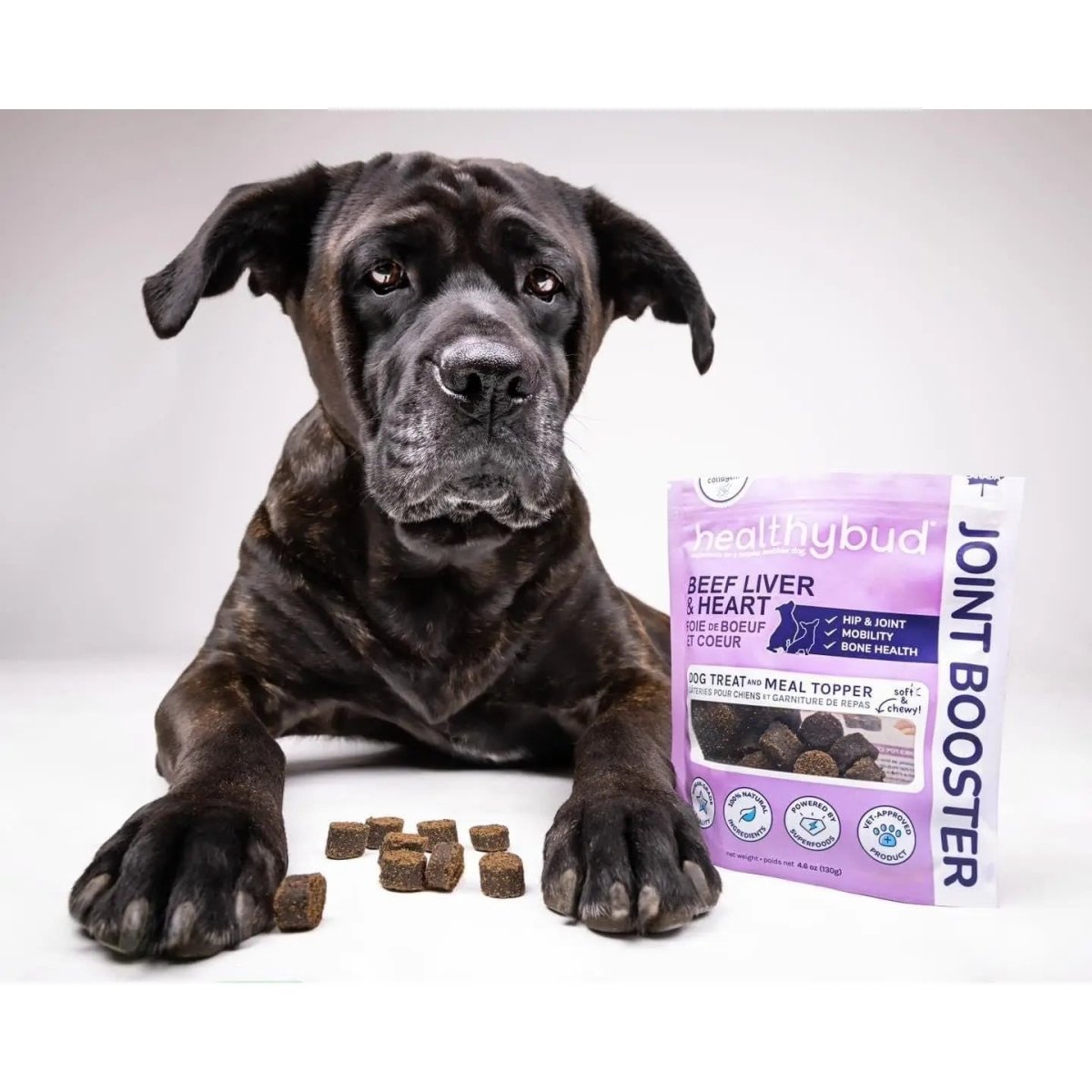 Healthybud Beef Joint Booster Soft Dog Treats for Senior Dogs - Talis Us