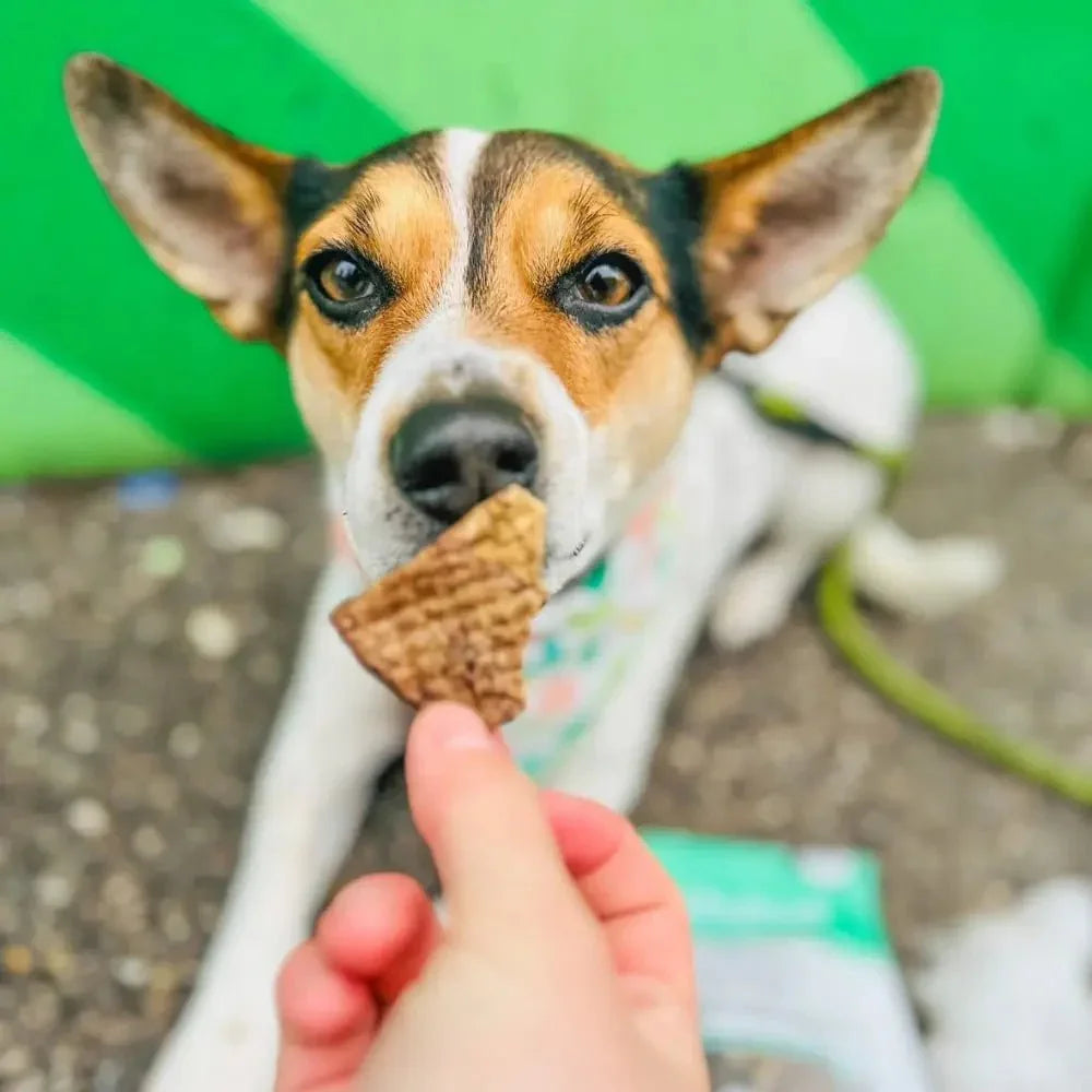 Healthybud Beef Lung Dehydrated Dog Treats - Talis Us