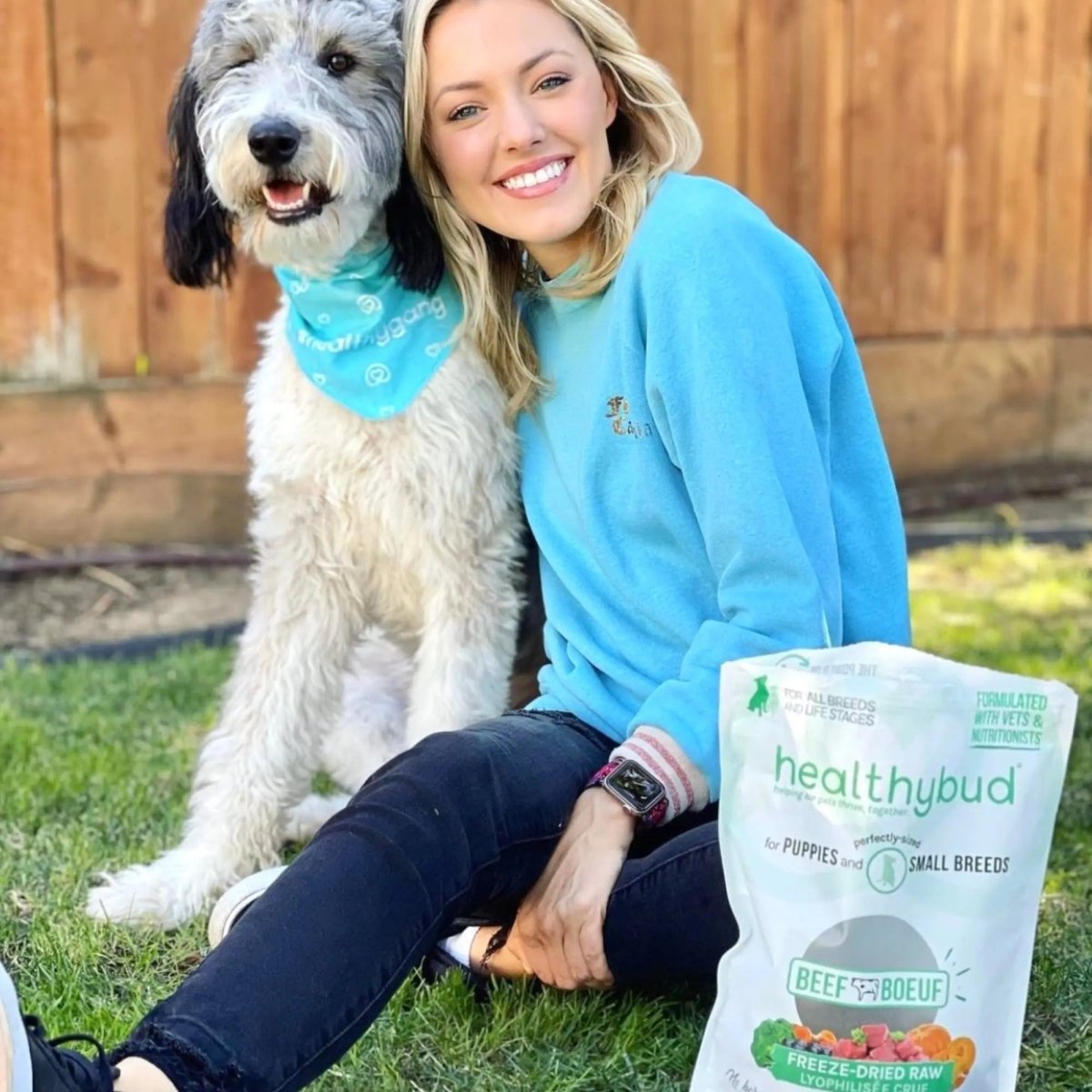 Healthybud Beef Meal Bites Freeze - Dried Dog Food 14Oz - Talis Us