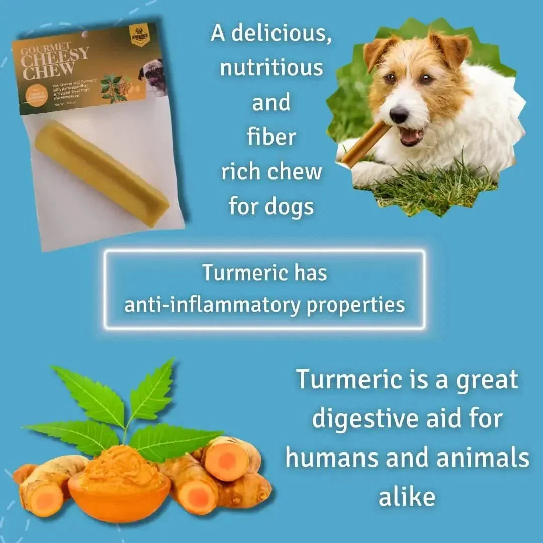 Himalayan Yak Cheesy Chews with Turmeric and Ashwagandha - All Natural, Gluten Free Dog Treats - Talis Us