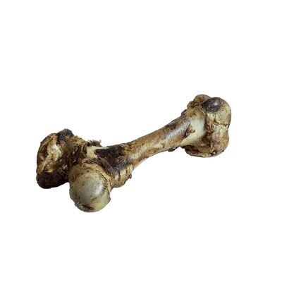 Home Range Beef Cured Dino Bones for Dogs Chew - Talis Us