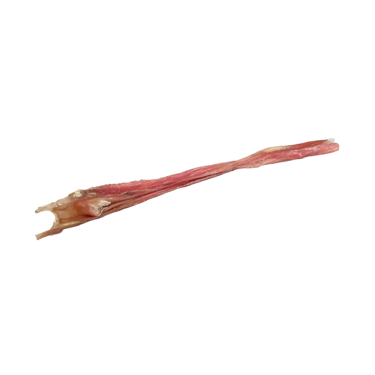 Home Range Fursbee Bladder Stick All Natural Dog Treat 12" 50cs - Talis Us