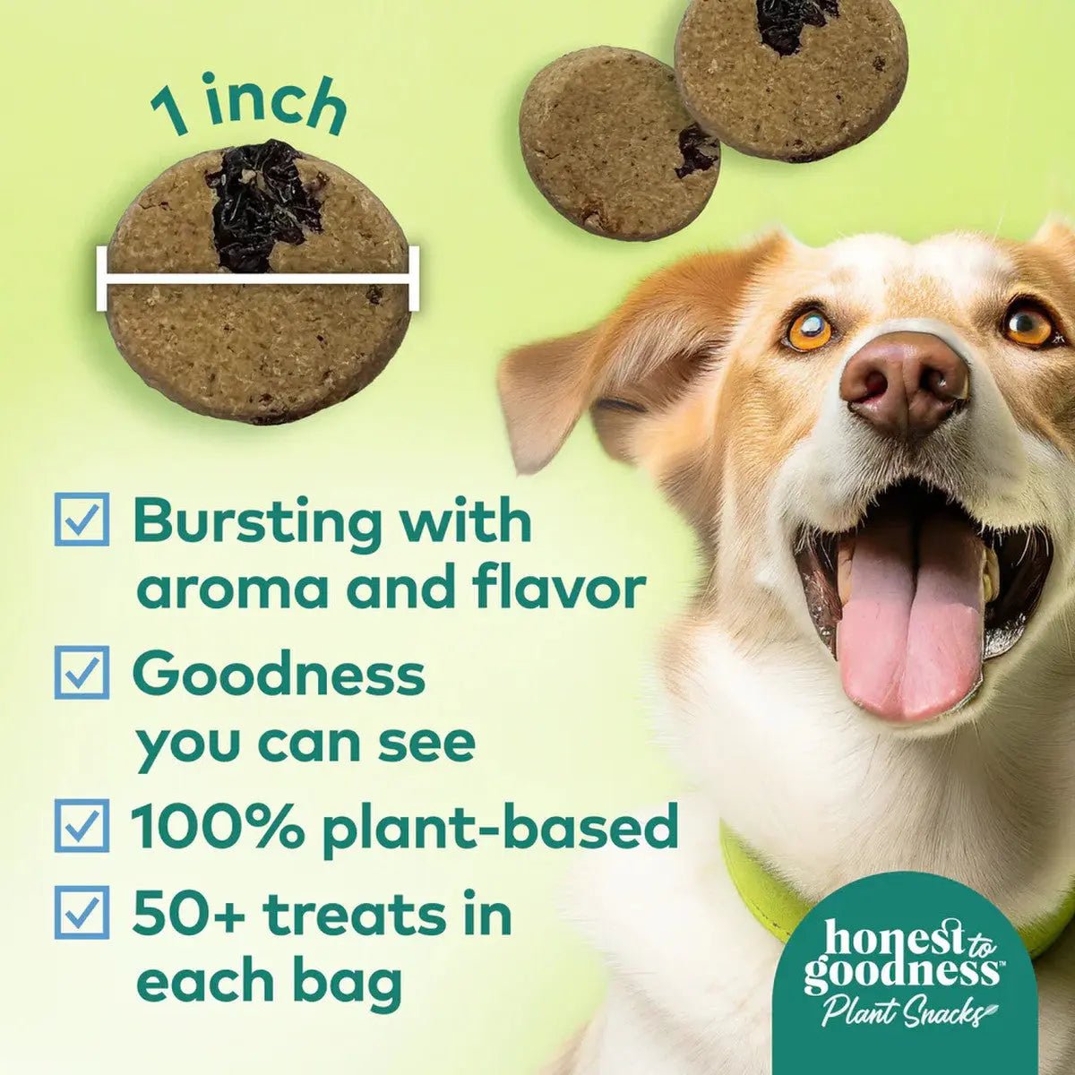 Honest To Goodness™ Plant Snacks Golden Years Blueberry & Carrot Recipe Dog Treats 8oz - Talis Us
