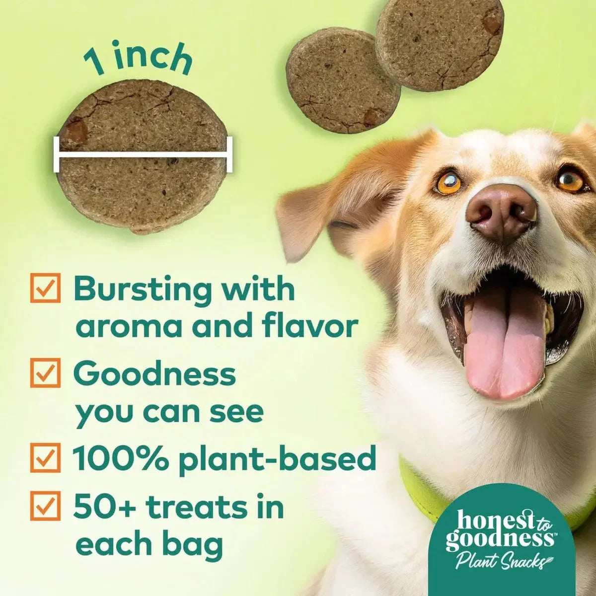 Honest To Goodness™ Plant Snacks Mellow Belly Pumpkin & Cinnamon Recipe Dog Treats 8oz - Talis Us