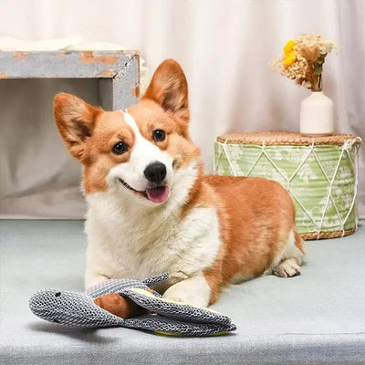 Hugsmart Pet Dinosaur Land Pterosaur Dog Plush Toy - Talis Us