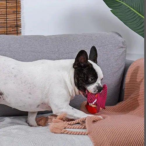 Hugsmart Pet Dinosaur Land Rexy Dog Plush Toy - Talis Us