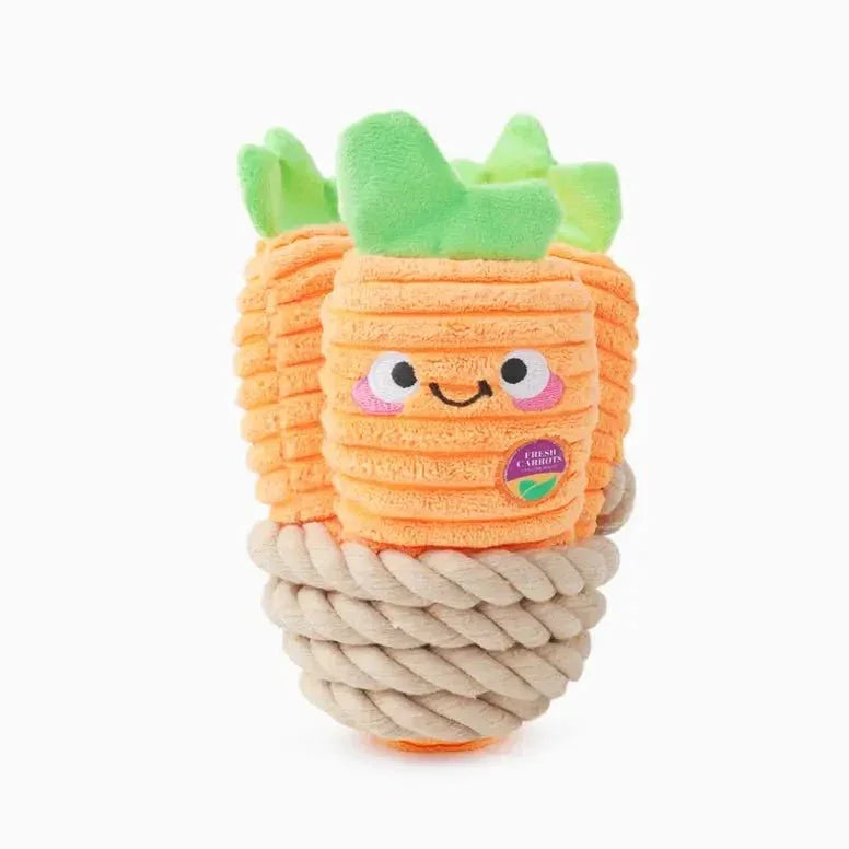 Hugsmart Pet Puppy Garden Carrot Bunch Dog Rope Toy - Talis Us