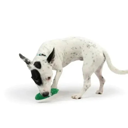 Huxley & Kent Tiny Tuff Dell Pickle Puppy Toys - Talis Us