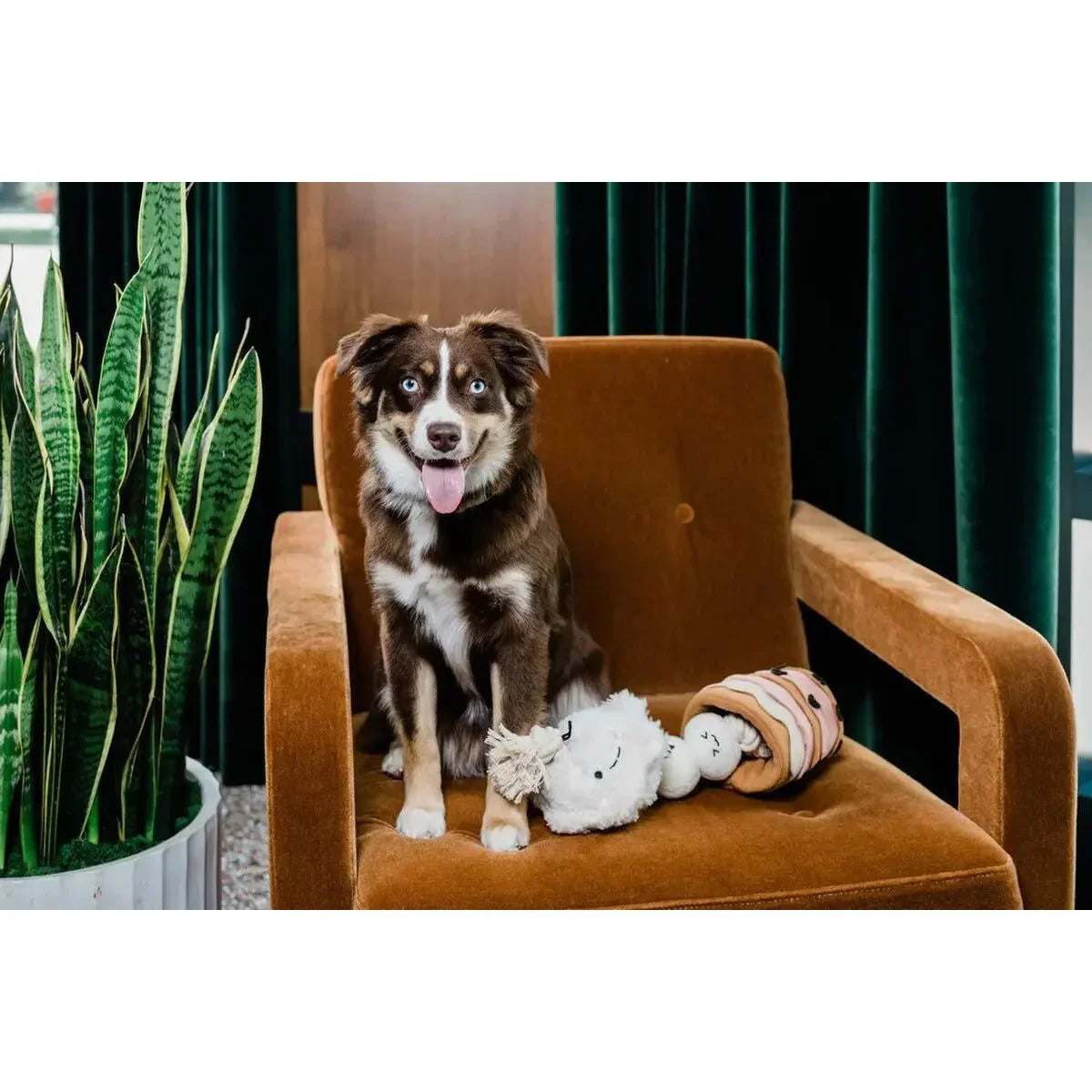 Injoya Boba Time Snuffle Toys for Dogs - Talis Us