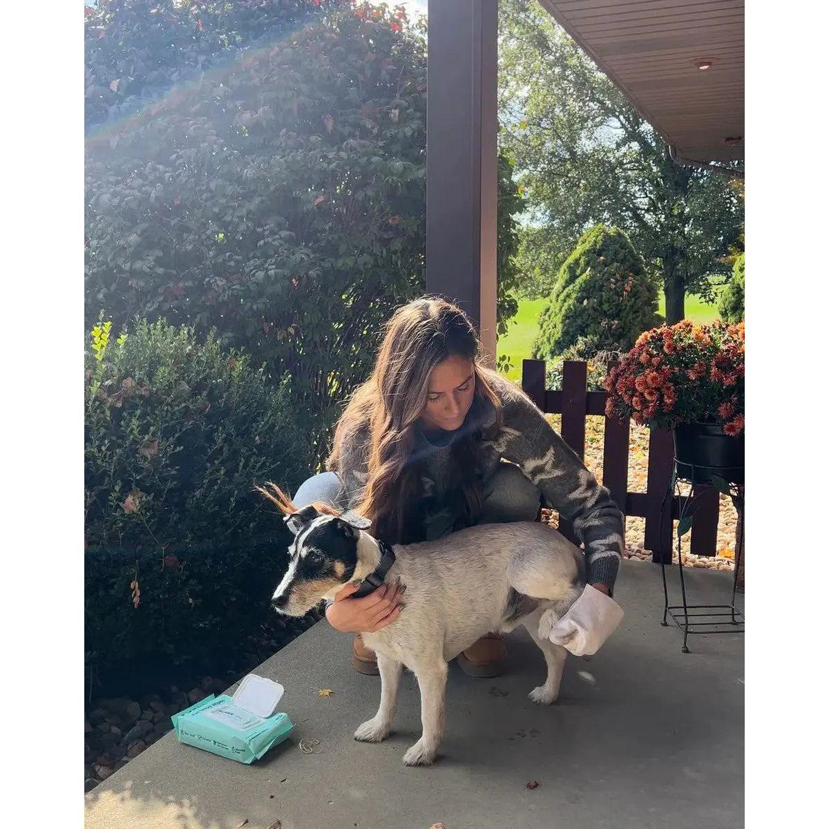 Injoya Pet Glove Wipes Unscented - Talis Us