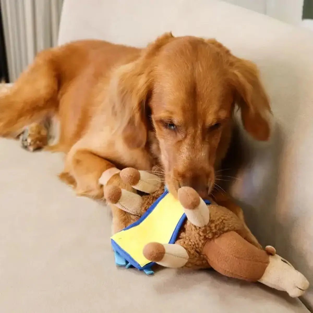 Injoya Sahara Camel Snuffle Dog Toy - Talis Us