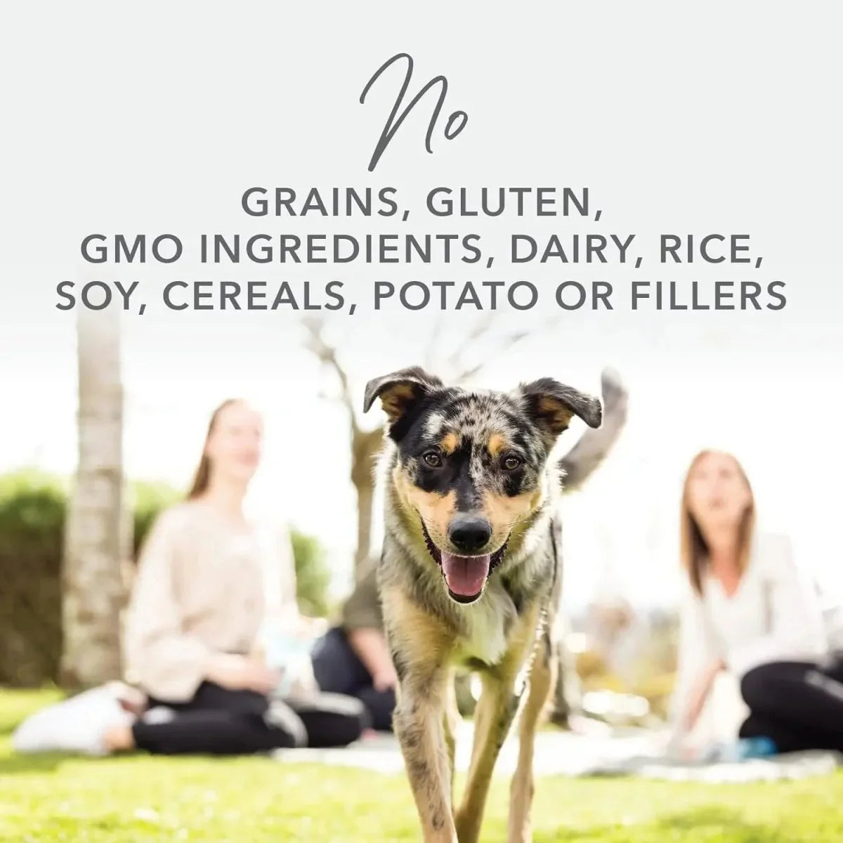 K9 Natural Beef Grain - Free Freeze - Dried Dog Food Topper 3.5oz - Talis Us