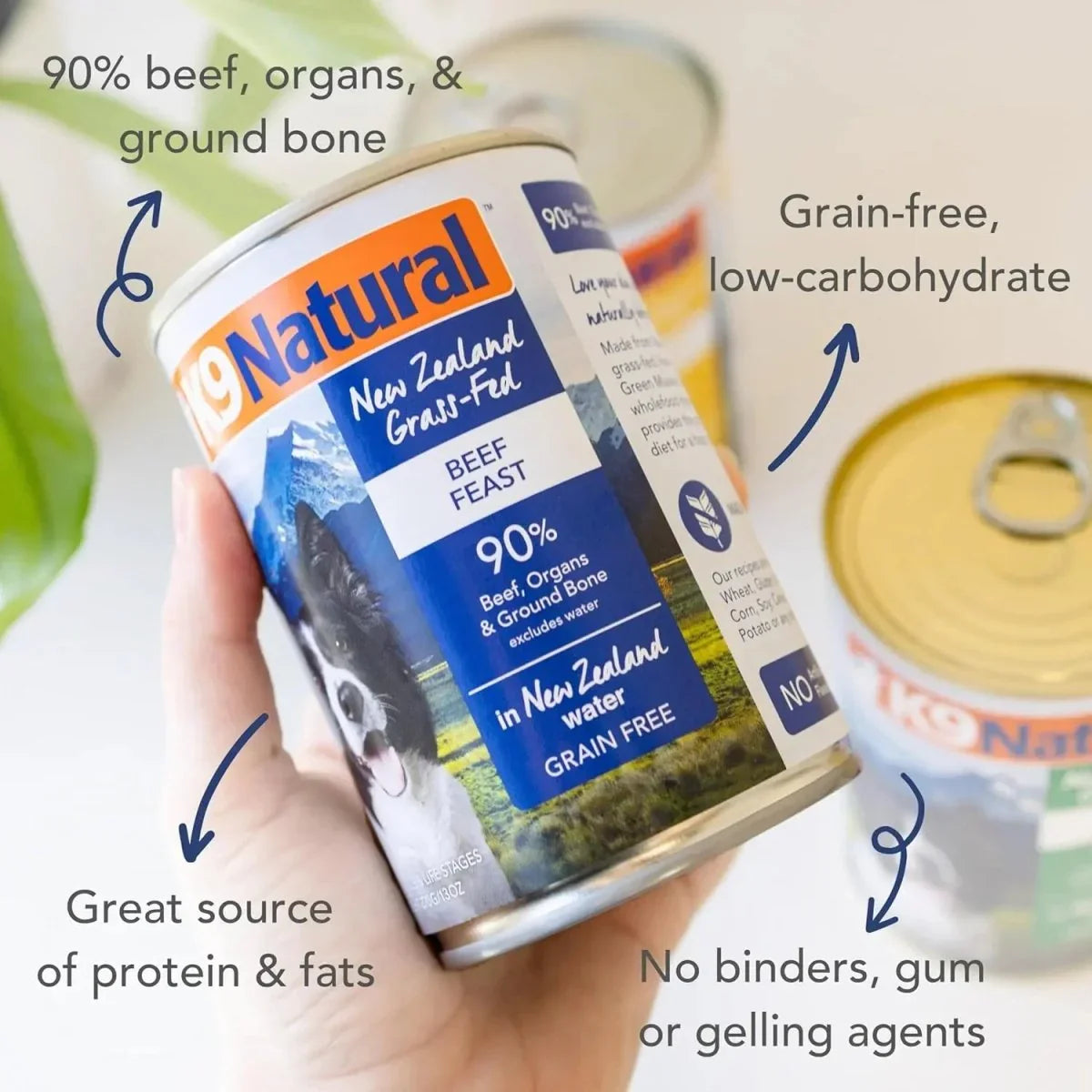 K9 Natural Grass - Fed Beef Feast Grain - Free Canned Dog Food - Talis Us