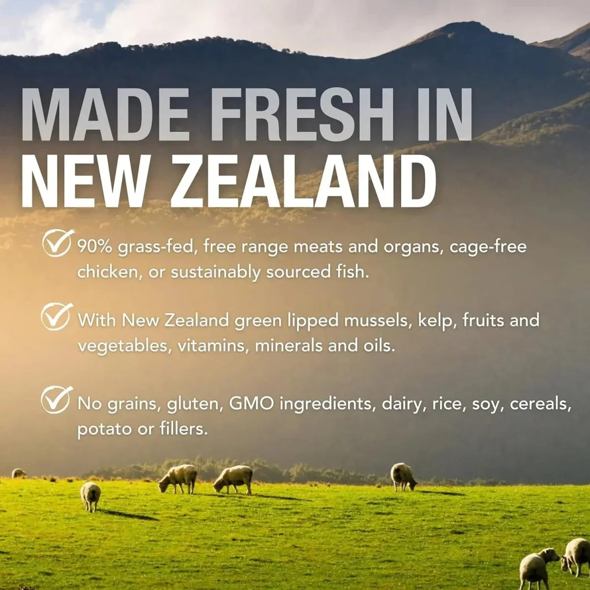 K9 Natural Grass - Fed Beef Feast Grain - Free Canned Dog Food - Talis Us