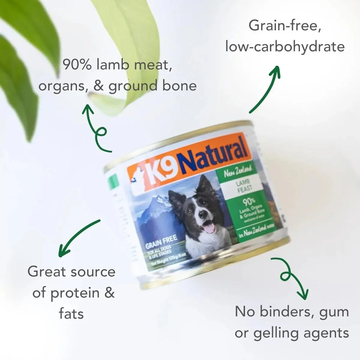 K9 Natural Grass - Fed Lamb Feast Grain - Free Canned Dog Food - Talis Us
