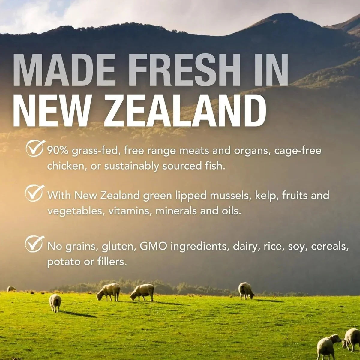 K9 Natural Grass - Fed Lamb Feast Grain - Free Canned Dog Food - Talis Us