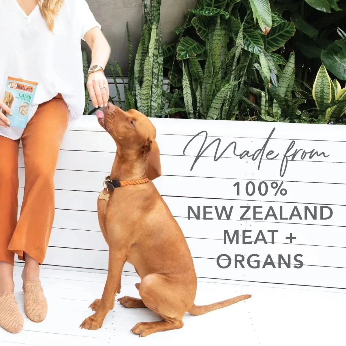 K9 Natural Healthy Bites Beef & Organs Freeze - Dried Dog Treats 1.76oz - Talis Us