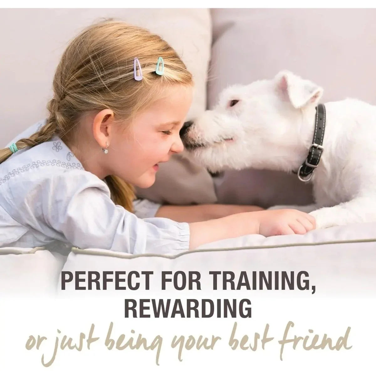 K9 Natural Healthy Snacks Green Mussels Freeze - Dried Dog Treats 1.76oz - Talis Us