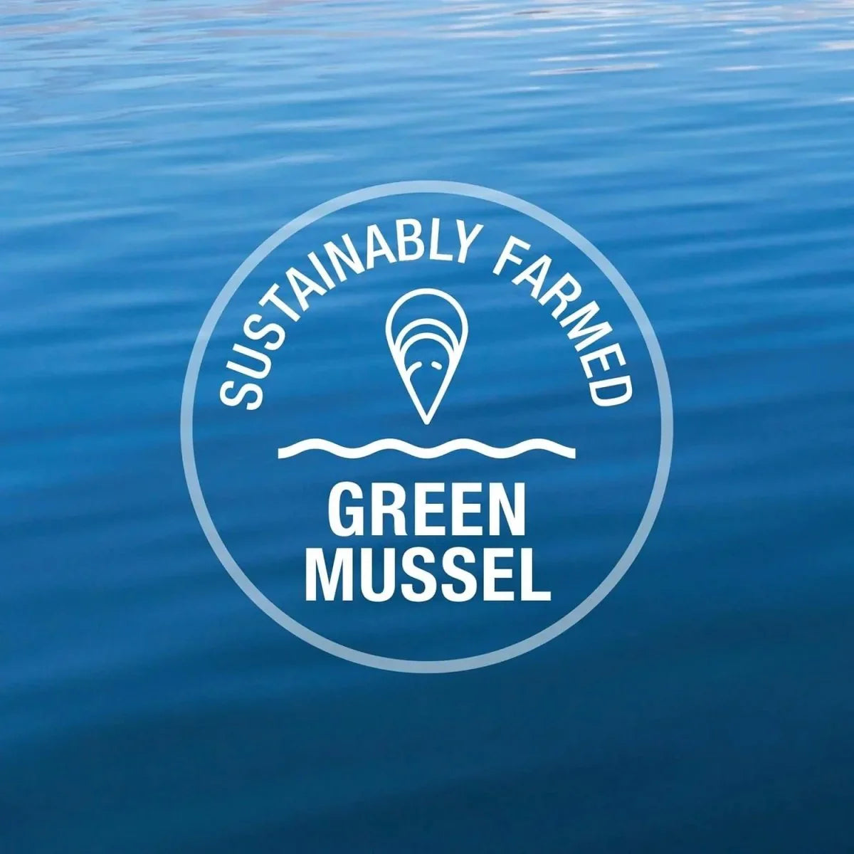 K9 Natural Healthy Snacks Green Mussels Freeze - Dried Dog Treats 1.76oz - Talis Us