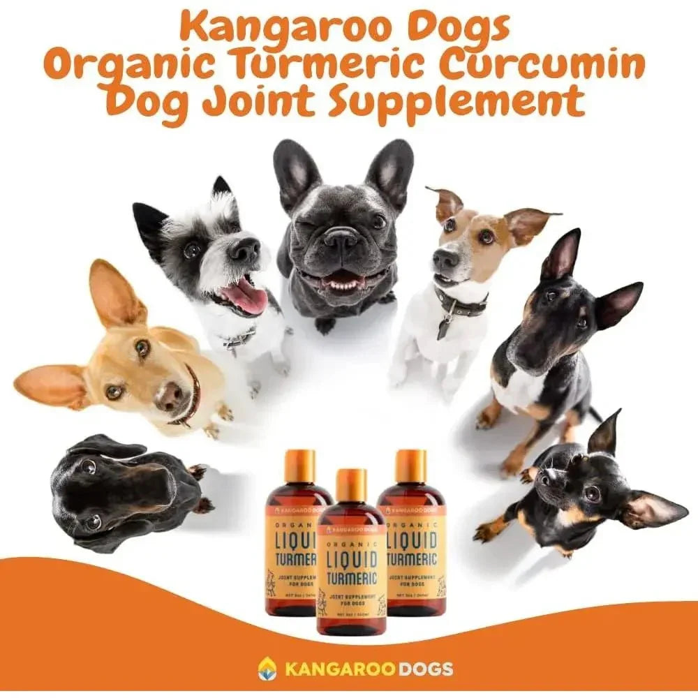 Kangaroo Dogs Organic Turmeric Curcumin Dog Joint Supplement 8oz - Talis Us