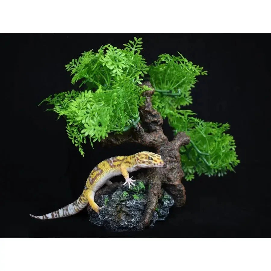 Komodo Bonsai Tree Reptile Habitat Decor 17 in - Talis Us