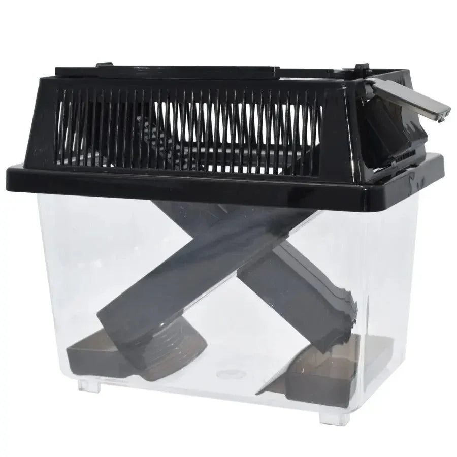 Komodo Cricket Keeper Box - Talis Us