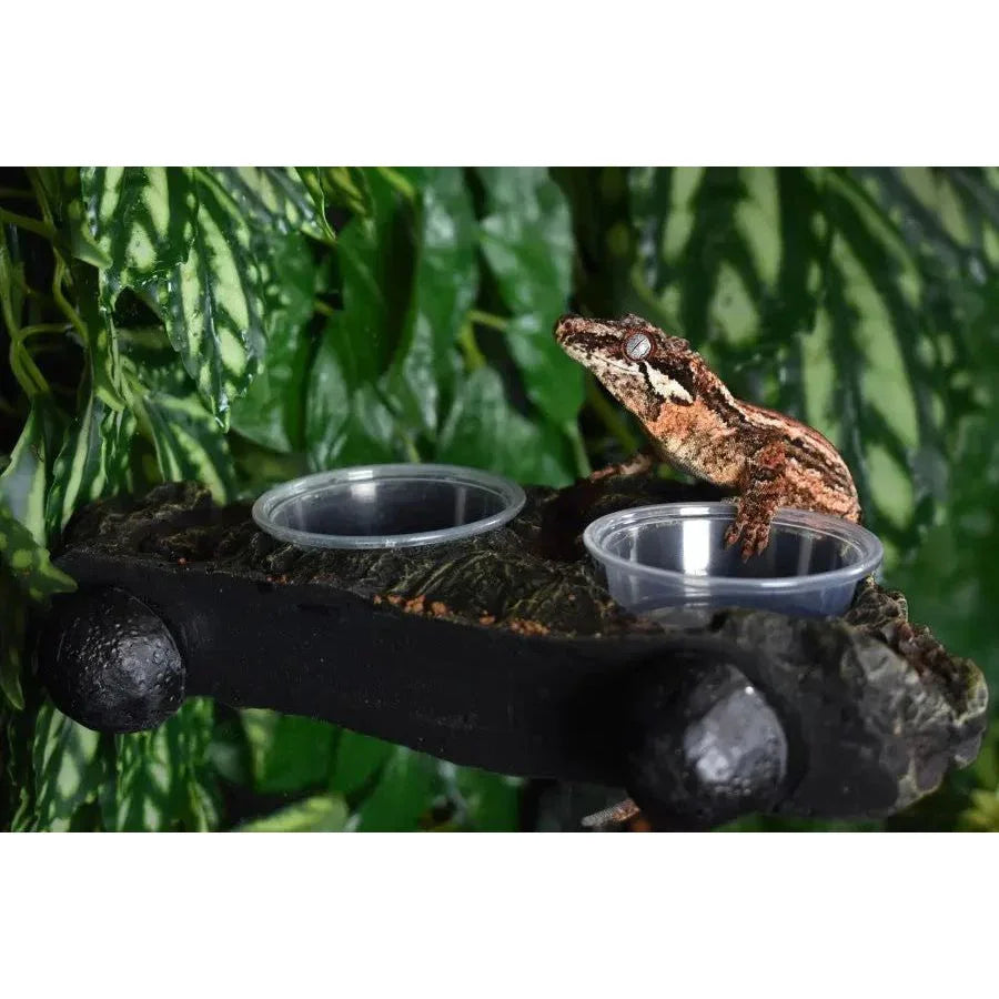 Komodo Magnetic Dual Gecko Feeding Ledge 22 in - Talis Us