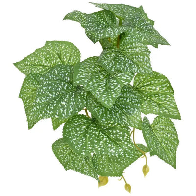 Komodo Standing Spotted Pothos Reptile Decor Plants 5 in - Talis Us