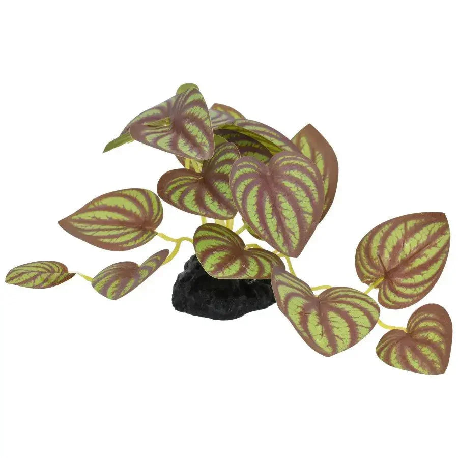 Komodo Standing Zebrina Reptile Plant Decor 3.5 in - Talis Us