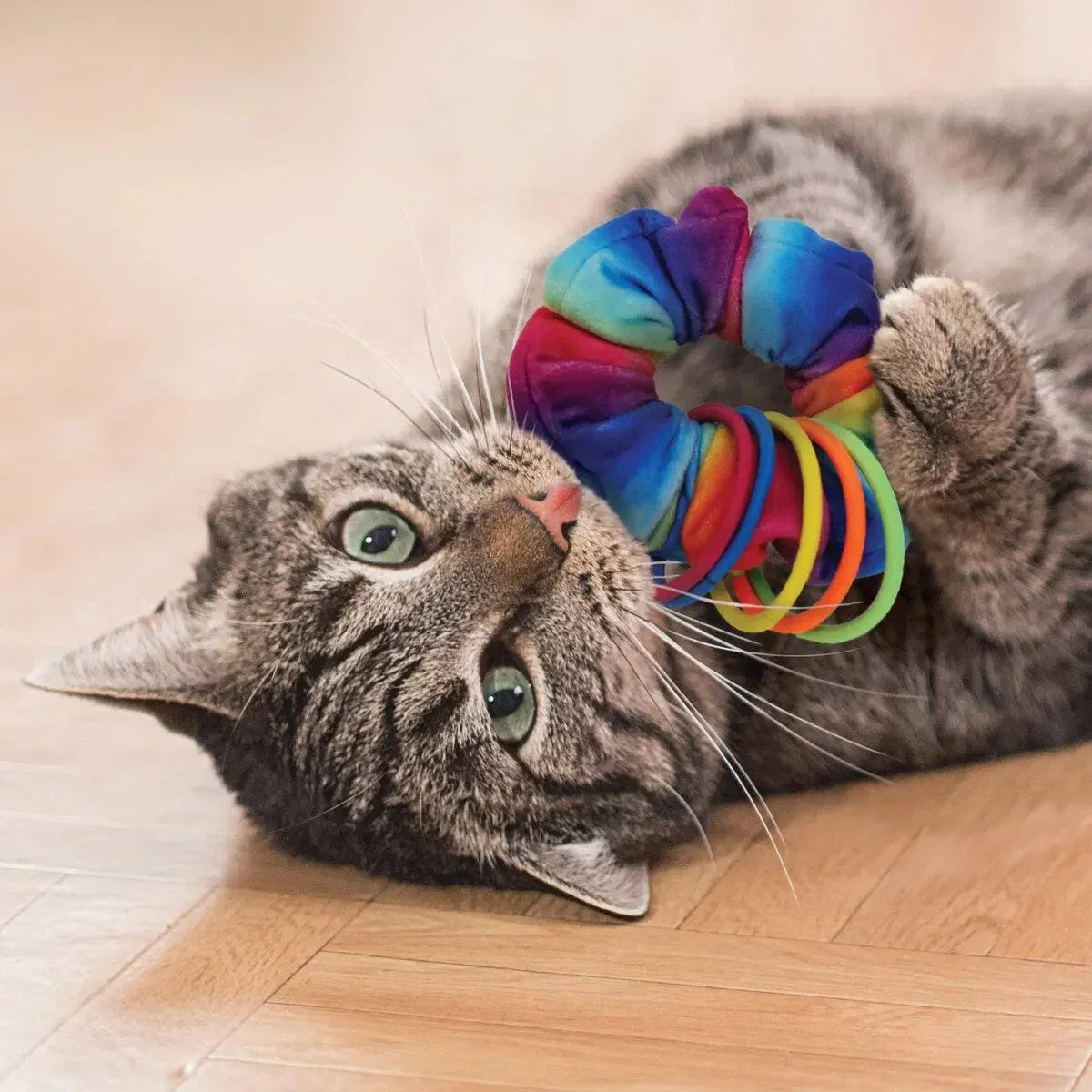 KONG Cat Active Scrunchie Cat Toy - Talis Us