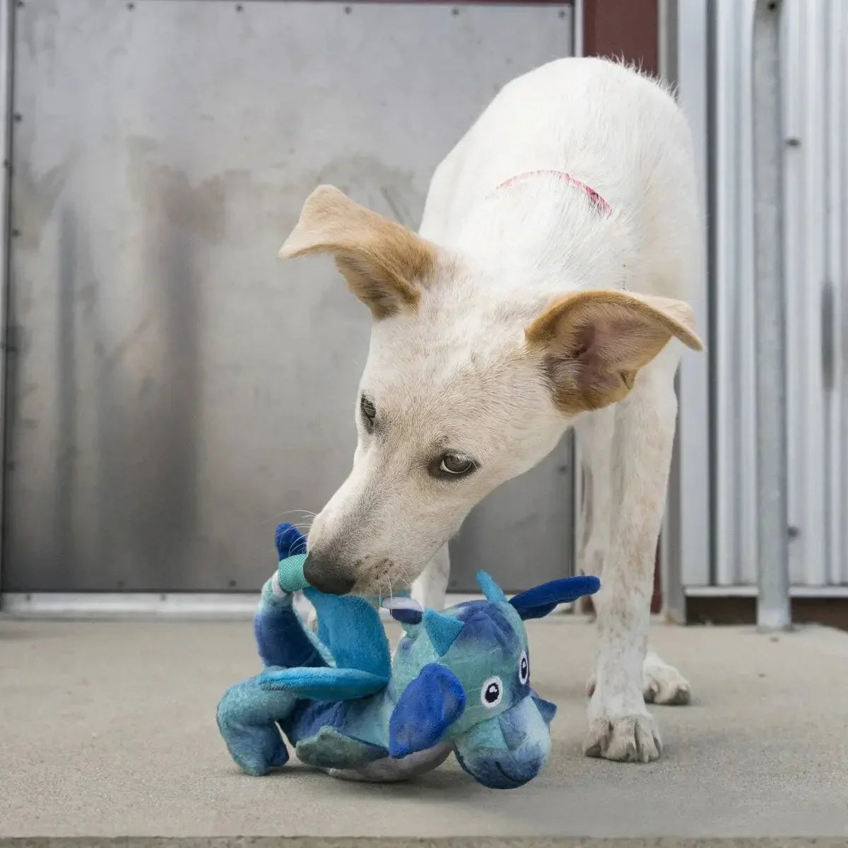 KONG Dragon Knots Dog Rope Toy Assorted Medium/Large - Talis Us