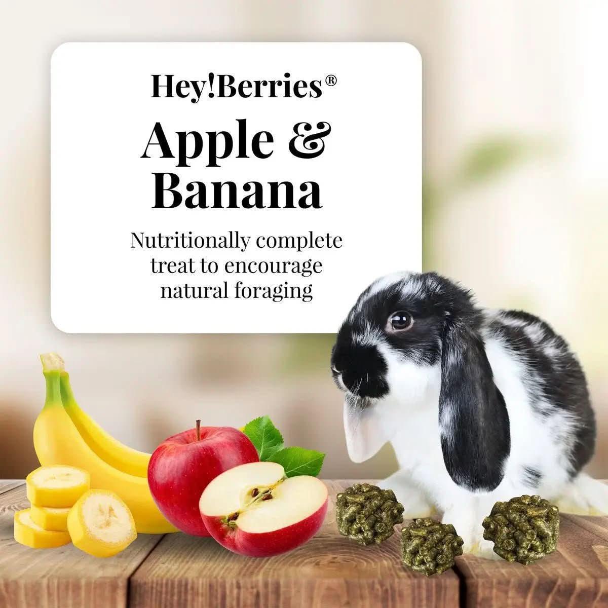 Lafeber Company Berries Rabbit Food Apple & Banana 5 oz - Talis Us