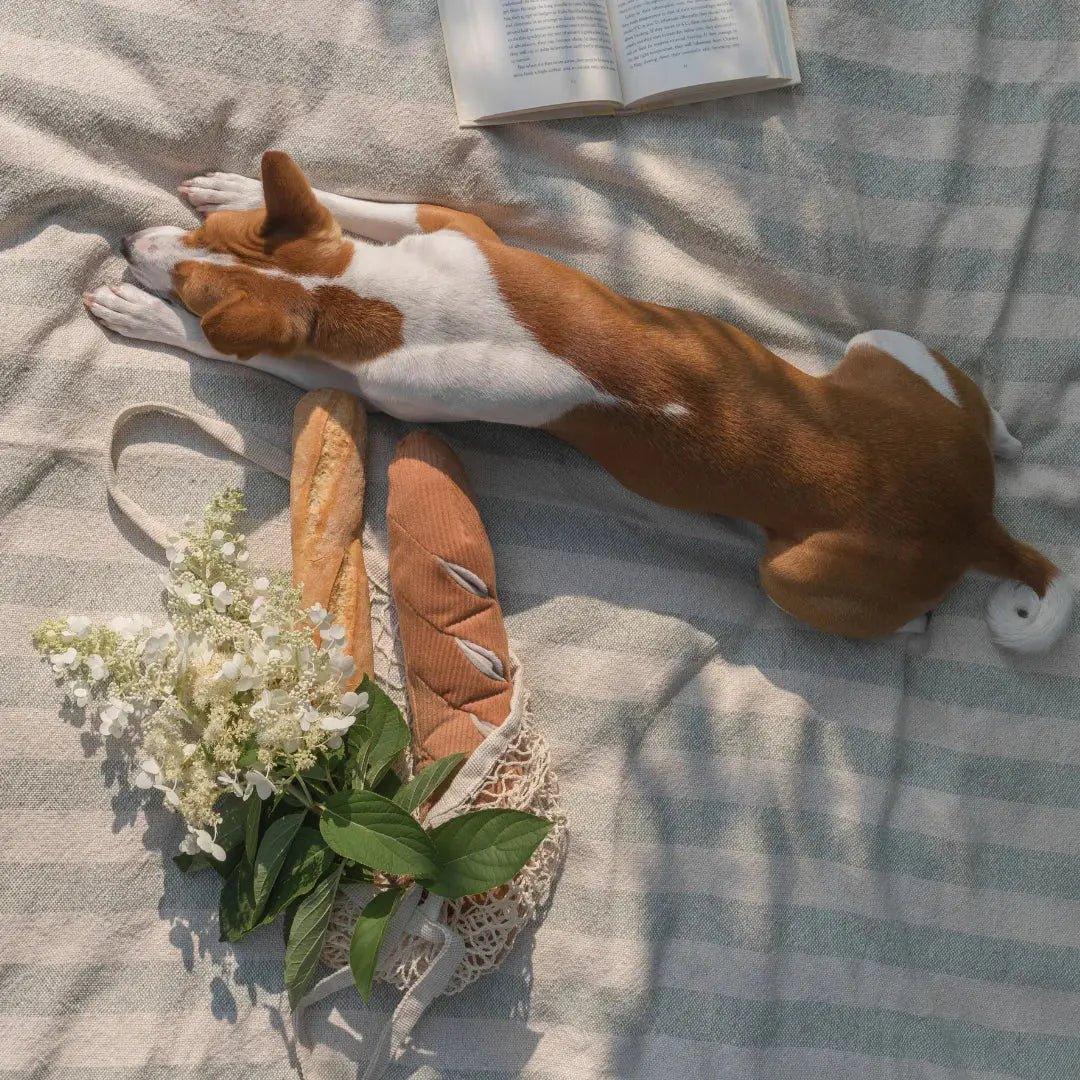 Lambwolf Collective Baguette Squeaky Interactive Dog Toys - Talis Us