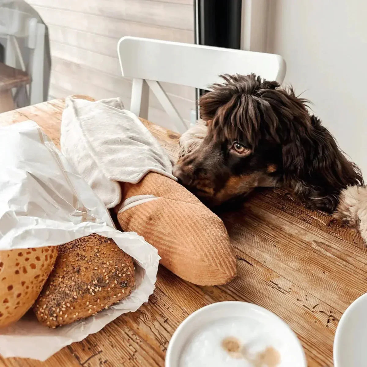 Lambwolf Collective Baguette Squeaky Interactive Dog Toys - Talis Us