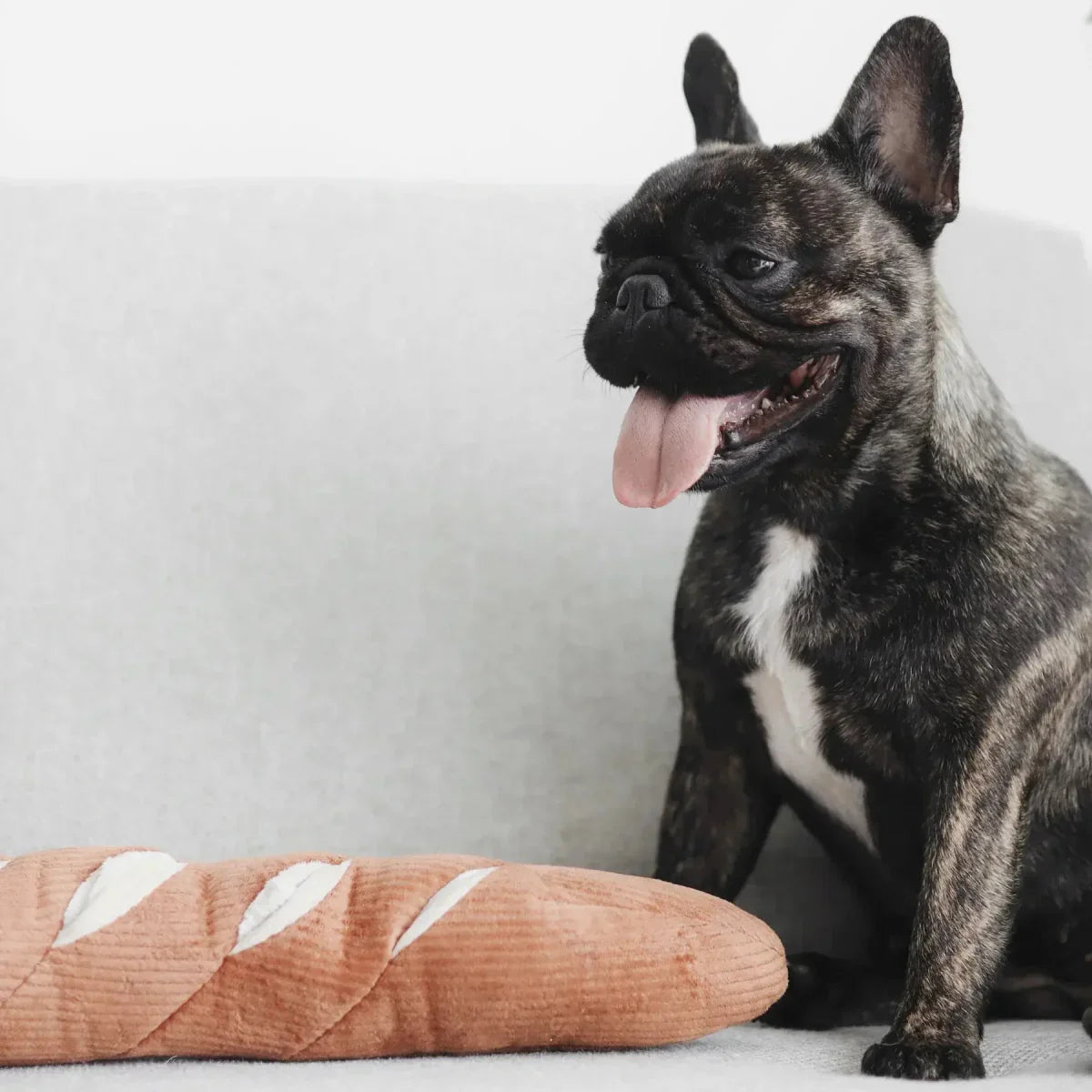 Lambwolf Collective Baguette Squeaky Interactive Dog Toys - Talis Us