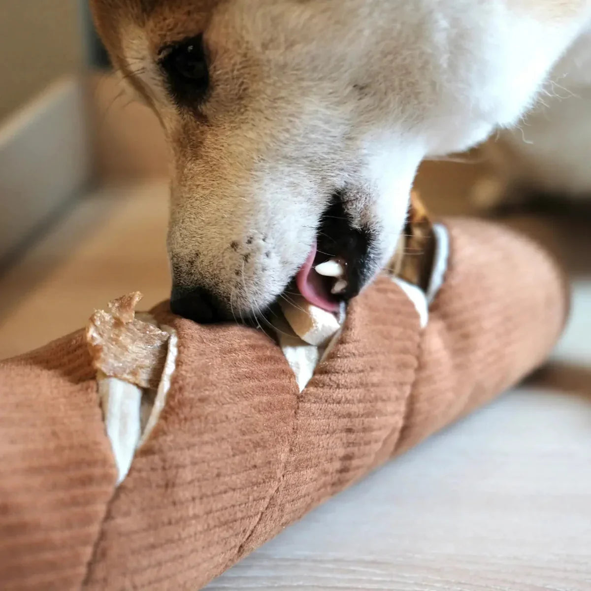 Lambwolf Collective Baguette Squeaky Interactive Dog Toys - Talis Us