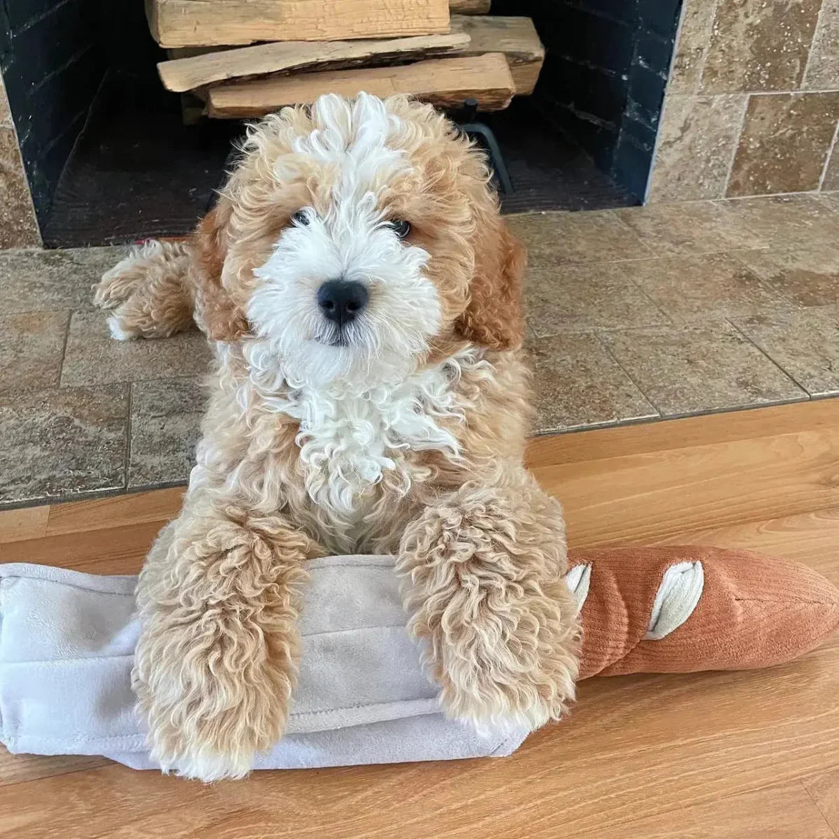 Lambwolf Collective Baguette Squeaky Interactive Dog Toys - Talis Us