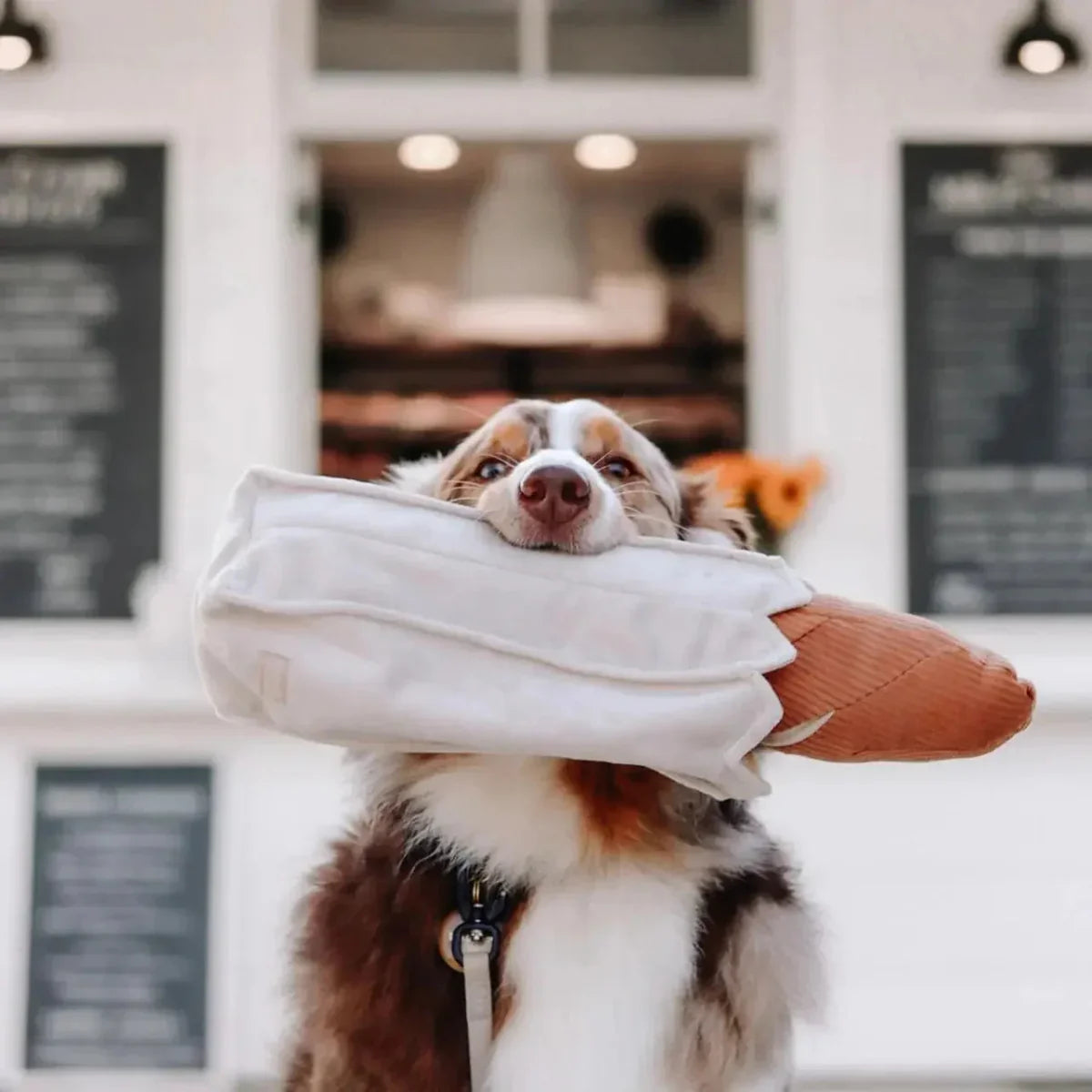 Lambwolf Collective Baguette Squeaky Interactive Dog Toys - Talis Us