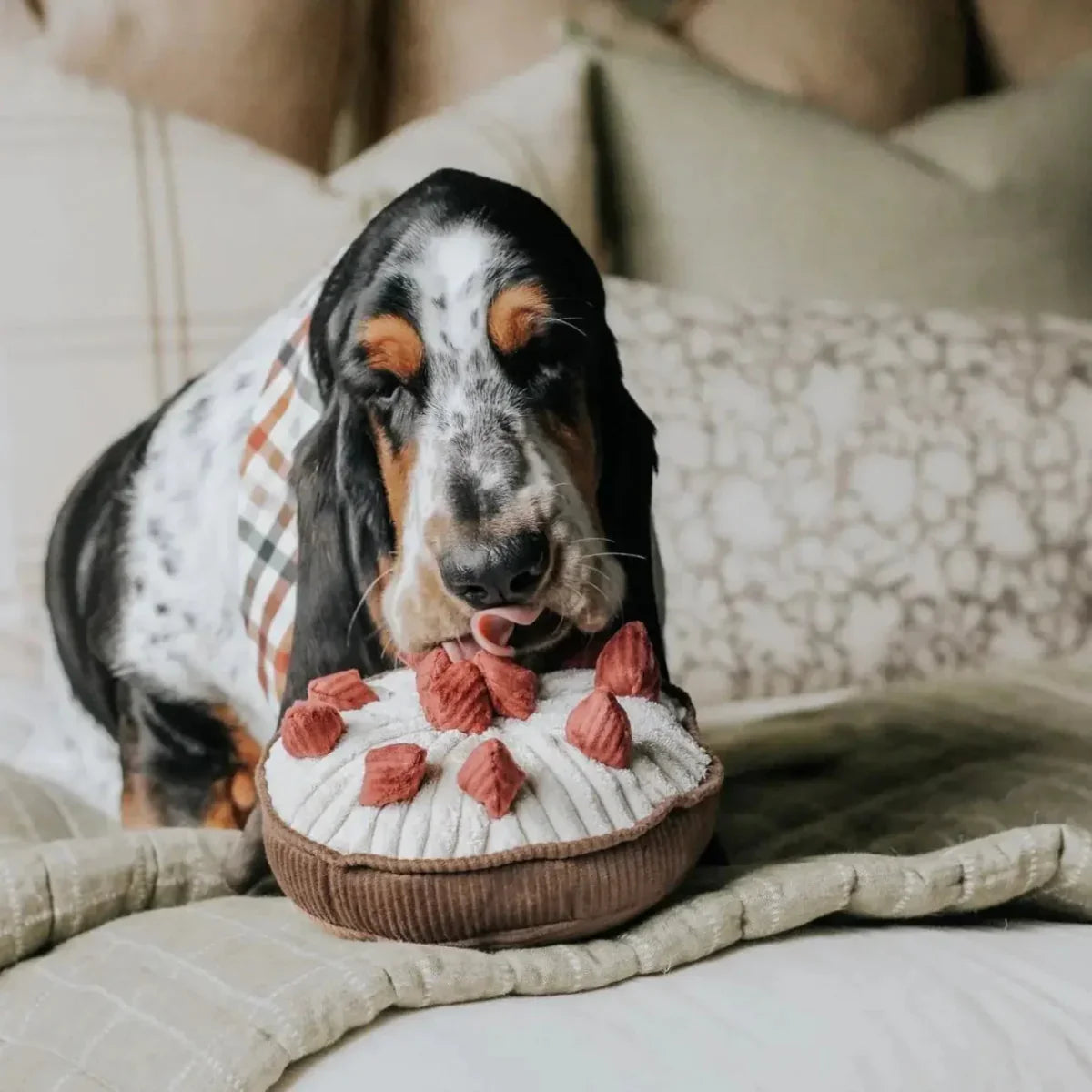 Lambwolf Collective Berry Pie Squeaky Interactive Dog Toys - Talis Us