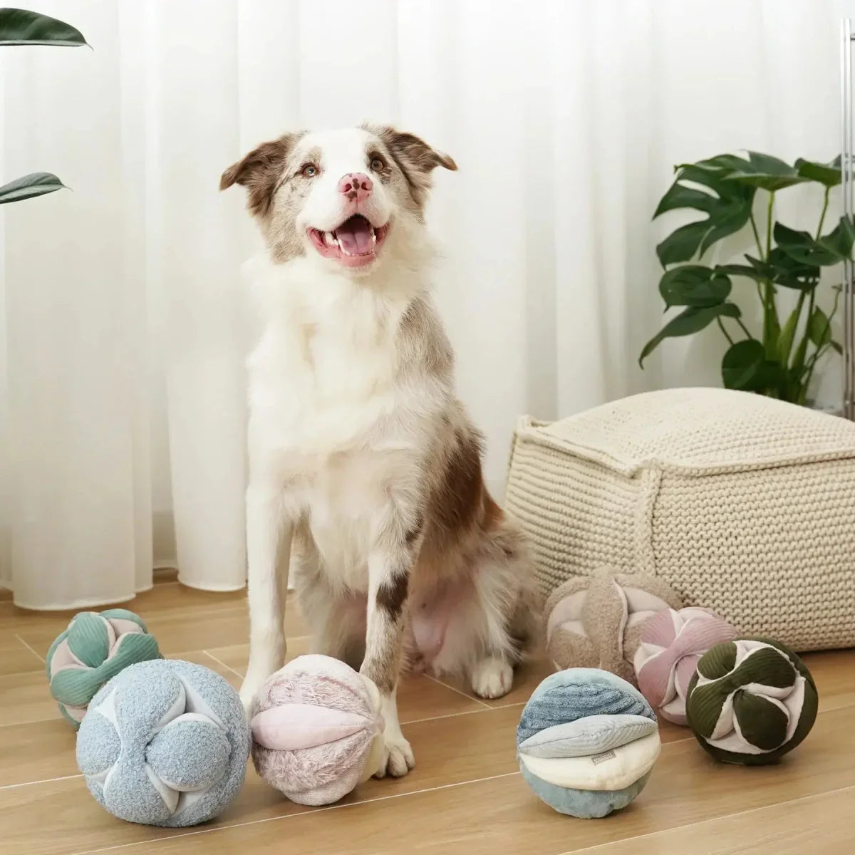 Lambwolf Collective Monti Squeaky Interactive Dog Toys - Talis Us